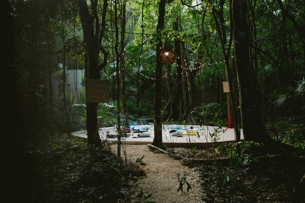 ホテル Lunita Jungle Experience プエルト・モレロス エクステリア 写真