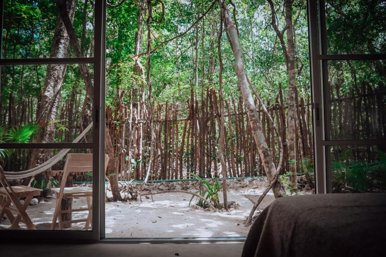 ホテル Lunita Jungle Experience プエルト・モレロス エクステリア 写真