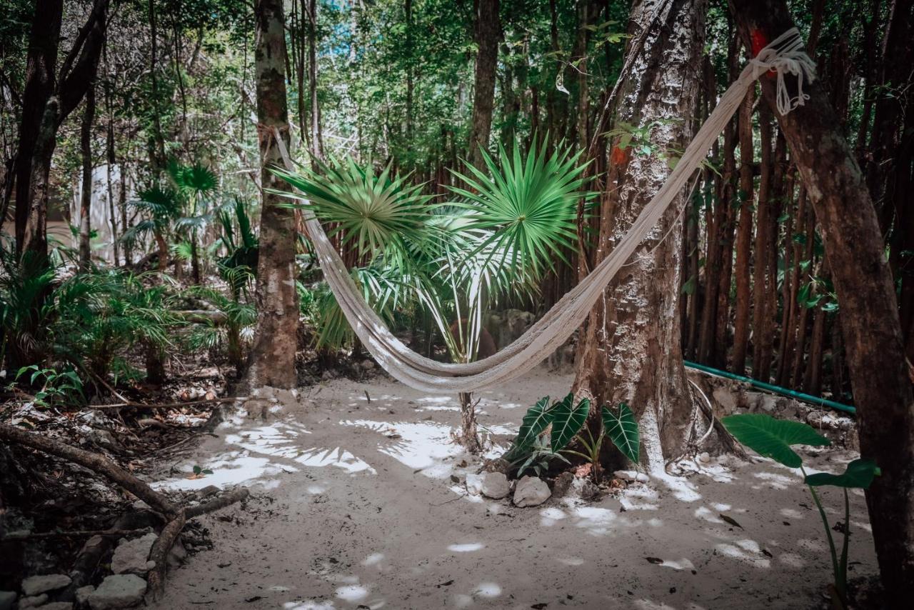 ホテル Lunita Jungle Experience プエルト・モレロス エクステリア 写真