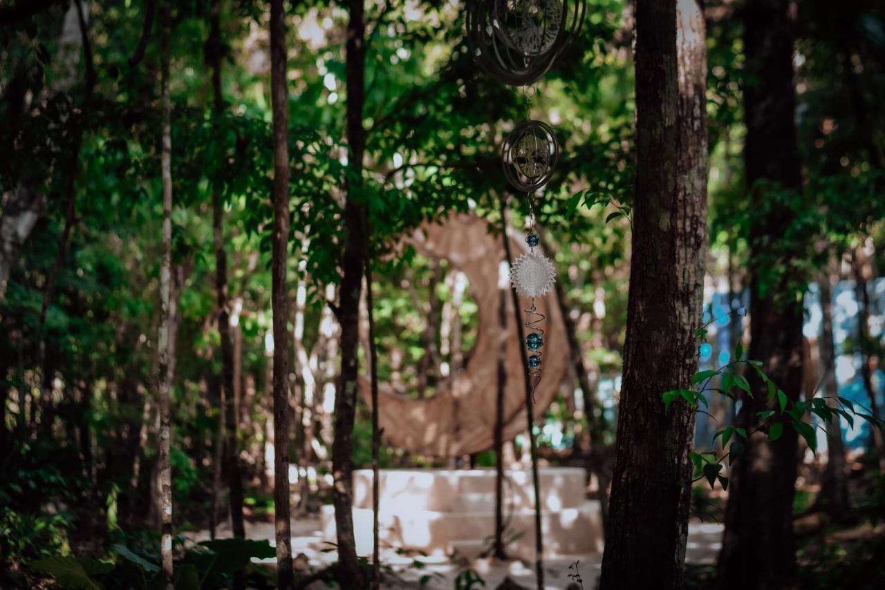 ホテル Lunita Jungle Experience プエルト・モレロス エクステリア 写真