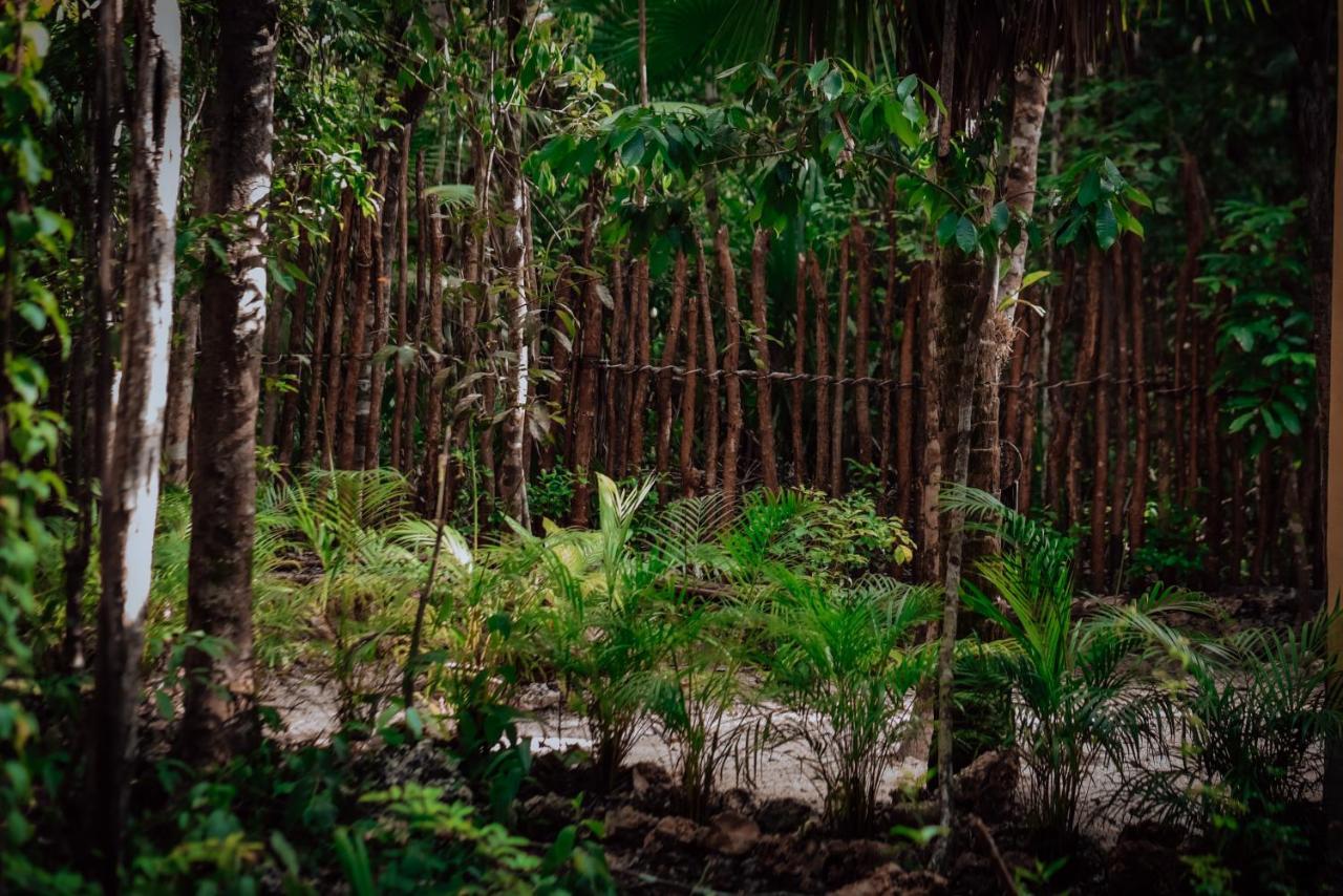 ホテル Lunita Jungle Experience プエルト・モレロス エクステリア 写真