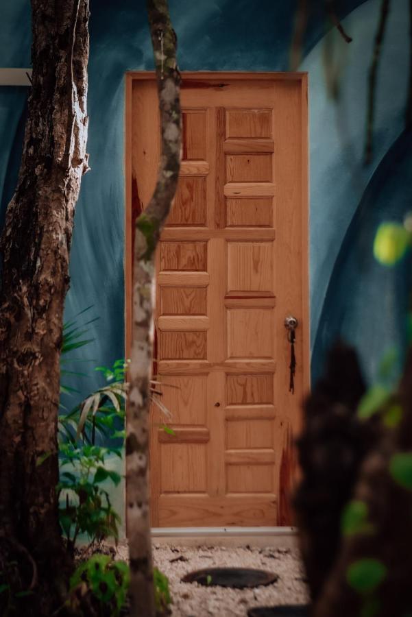 ホテル Lunita Jungle Experience プエルト・モレロス エクステリア 写真
