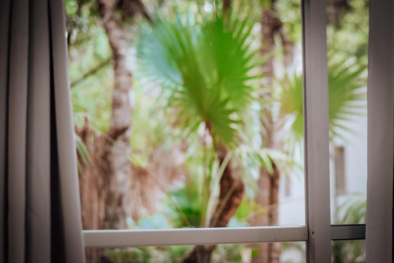 ホテル Lunita Jungle Experience プエルト・モレロス エクステリア 写真