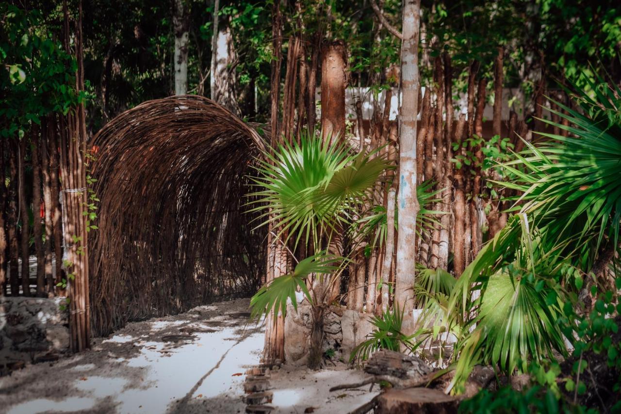 ホテル Lunita Jungle Experience プエルト・モレロス エクステリア 写真